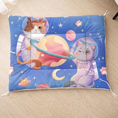 HOSIMA Hundebett, Haustiermatte Hundematte mit Cartoon-Aufdruck, Weiche Waschbare Katzenmatte, Unterseite aus Lammfell kann an Haustierbett Gebunden Werden (AB045 M) von HOSIMA