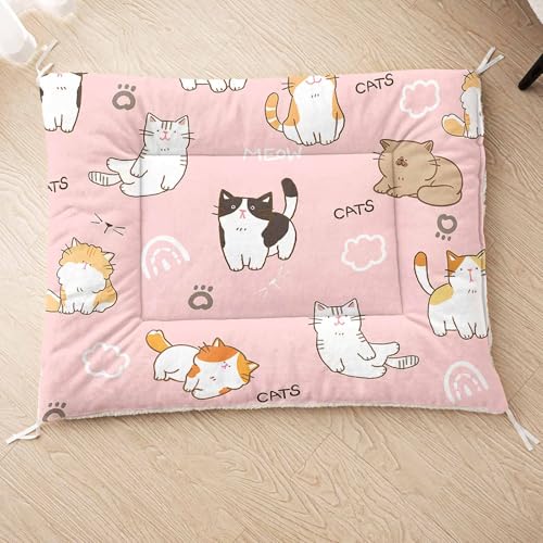 HOSIMA Hundebett, Haustiermatte Hundematte mit Cartoon-Aufdruck, Weiche Waschbare Katzenmatte, Unterseite aus Lammfell kann an Haustierbett Gebunden Werden (AB050 M) von HOSIMA
