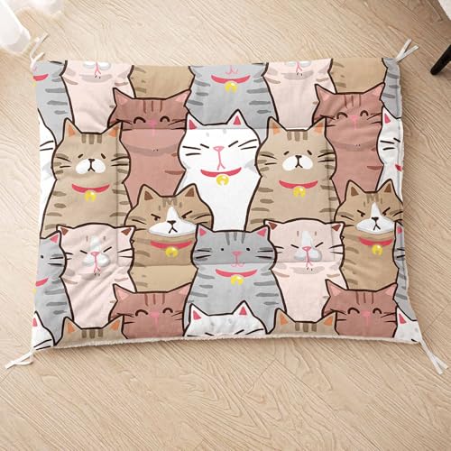 HOSIMA Hundebett, Haustiermatte Hundematte mit Cartoon-Aufdruck, Weiche Waschbare Katzenmatte, Unterseite aus Lammfell kann an Haustierbett Gebunden Werden (AE018 M) von HOSIMA
