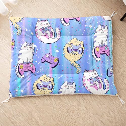 HOSIMA Hundebett, Haustiermatte Hundematte mit Cartoon-Aufdruck, Weiche Waschbare Katzenmatte, Unterseite aus Lammfell kann an Haustierbett Gebunden Werden (AH037 S) von HOSIMA