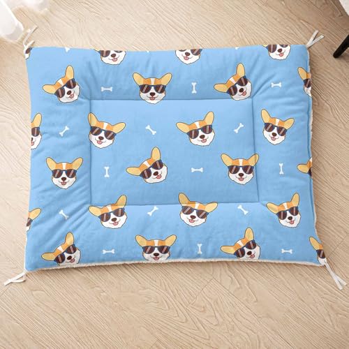HOSIMA Hundebett, Haustiermatte Hundematte mit Cartoon-Hund-Aufdruck, Weiche Waschbare Katzenmatte, Unterseite aus Lammfell kann an Haustierbett Gebunden Werden (AG055 M) von HOSIMA