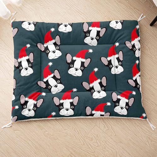 HOSIMA Hundebett, Haustiermatte Hundematte mit Cartoon-Hund-Aufdruck, Weiche Waschbare Katzenmatte, Unterseite aus Lammfell kann an Haustierbett Gebunden Werden (AG059 M) von HOSIMA