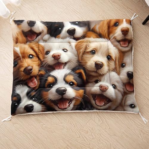 HOSIMA Hundebett, Haustiermatte Hundematte mit Cartoon-Hund-Aufdruck, Weiche Waschbare Katzenmatte, Unterseite aus Lammfell kann an Haustierbett Gebunden Werden (AH019 M) von HOSIMA
