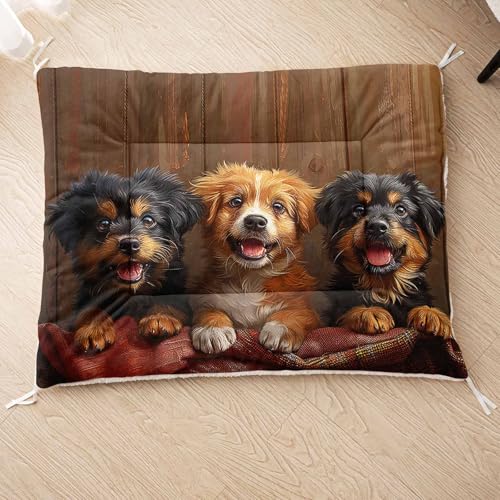 HOSIMA Hundebett, Haustiermatte Hundematte mit Cartoon-Hund-Aufdruck, Weiche Waschbare Katzenmatte, Unterseite aus Lammfell kann an Haustierbett Gebunden Werden (AI012 M) von HOSIMA