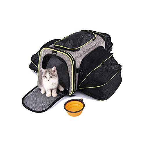 HOTLANTIS Tragetasche für Katzen und Hunde, Fluggesellschaften zugelassen, weiche Seiten, Haustier-Reisetasche, tragbar, faltbar, für kleine Hunde und Welpen (Grau) von HOTLANTIS