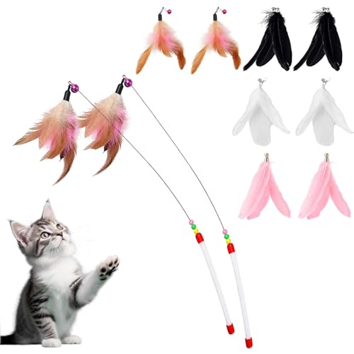 HOTMNTY Interaktives Katzenspielzeug mit Federn, Kätzchen Spielzeug, Cat Skalierbar Federspielzeug, Katzenangel Stabil Toys, Katzenangel Ersatzfedern mit Anhänger Feder Glocke Befestigungen, 10 Stück HOTMNTY Interaktives Katzenspielzeug mit Federn, Kätzchen Spielzeug, Cat Skalierbar Federspielzeug, Katzenangel Stabil Toys, Katzenangel Ersatzfedern mit Anhänger Feder Glocke Befestigungen, 10 Stück von HOTMNTY