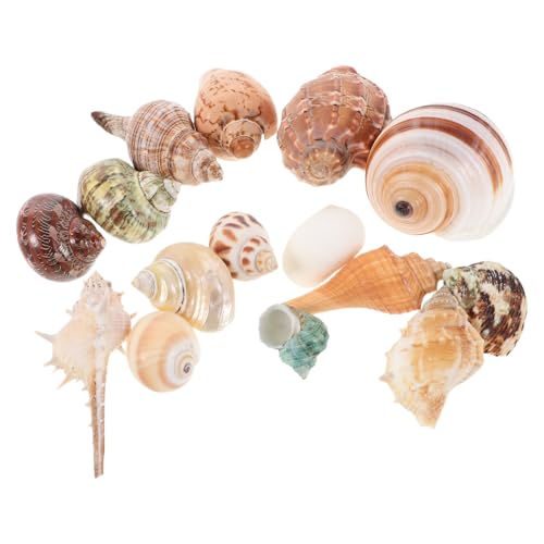 HOUDERCO 15 Stück Aquarium Dekoration Bunte Muscheln Aquarium Muschel Muschel Display Requisiten DIY Muschel Bastelarbeiten Muscheln Mit Motiven Nautische Muschel HOUDERCO 15 Stück Aquarium Dekoration Bunte Muscheln Aquarium Muschel Muschel Display Requisiten DIY Muschel Bastelarbeiten Muscheln Mit Motiven Nautische Muschel von HOUDERCO