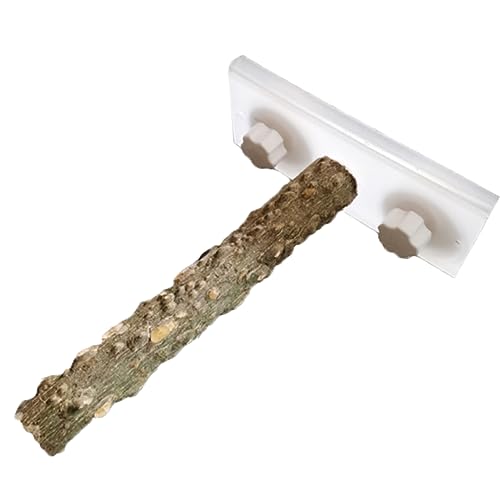 HOUDERCO 1Stück Saugnapf Vogelstand für Papageien für Vögel Einfache Installation im Badezimmer für Wellensittiche und Kanarienvögel HOUDERCO 1Stück Saugnapf Vogelstand für Papageien für Vögel Einfache Installation im Badezimmer für Wellensittiche und Kanarienvögel von HOUDERCO
