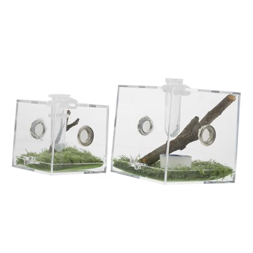 HOUDERCO 2Stücke Insektenzuchtbox für Springspinnen Brutkasten mit Atmungsaktiven Lüftungslöchern Transparentes Design für Haltung von Reptilien und Insekten für Züchter von HOUDERCO