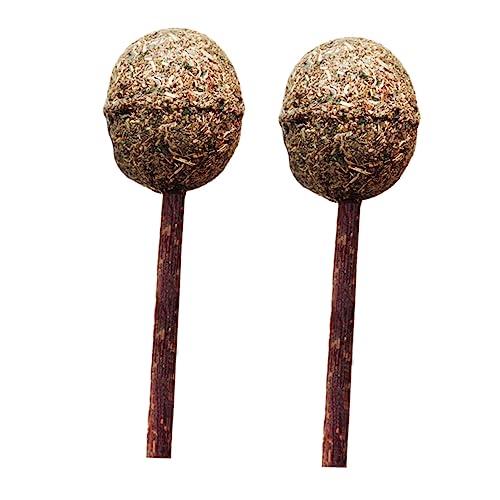 HOUDERCO 2Stücke Katzenminze Lutscher für Katzen Zahnpflege mit Polygonum Stab Essbar und Gesund Fördert die Beziehung Besitzer für Spielerisches Training HOUDERCO 2Stücke Katzenminze Lutscher für Katzen Zahnpflege mit Polygonum Stab Essbar und Gesund Fördert die Beziehung Besitzer für Spielerisches Training von HOUDERCO