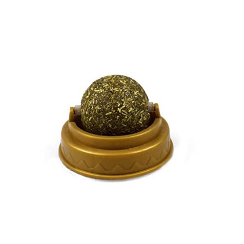 HOUDERCO 5Stücke Kugel Katzenpfote Bär und Stern für Kätzchen und Katzen HOUDERCO 5Stücke Kugel Katzenpfote Bär und Stern für Kätzchen und Katzen von HOUDERCO