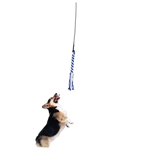 HOUDERCO Interaktives Hundespielzeug Erweiterbare Flirtstange für Spaß und Bewegung S Schwarz Chasing und Trainieren von Hunden von HOUDERCO