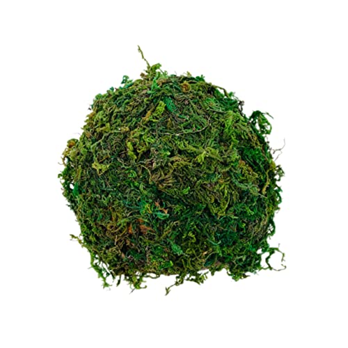 HOUDERCO Grüne Reptilienbox Ornament Hamster-versteck Höhle Dekorativer Unterschlupf Für Wasserschildkröten Und Eidechsen HOUDERCO Grüne Reptilienbox Ornament Hamster-versteck Höhle Dekorativer Unterschlupf Für Wasserschildkröten Und Eidechsen von HOUDERCO