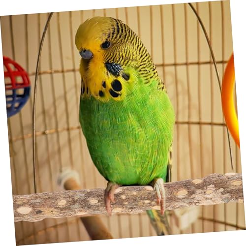 HOUDERCO Papageiensitzstange aus Natürlichem Holz Kauspielzeug für Wellensittiche und Kleine Vögel mit Krallenmolar Stick Praktisches Vogelkäfig Zubehör Bewegung und Spielspaß von HOUDERCO