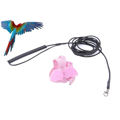HOUDERCO Parrot Flying Harness Brustgeschirr mit Elastischem Seil Verstellbar Langlebig mit Niedlichen Engelsflügeln Geeignet für Papageien und Kleine Vögel zum Sicheren im Freien von HOUDERCO