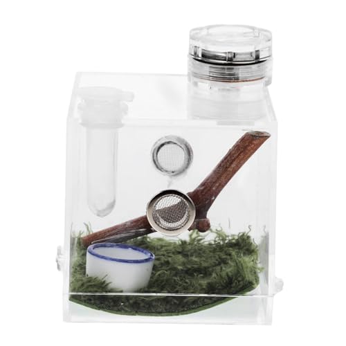 HOUDERCO Spinnenkäfig aus Material mit Hochqualitative Aufzuchtbox für Springspinnen Hygrometer und Futteröffnung für Haltung von Insekten HOUDERCO Spinnenkäfig aus Material mit Hochqualitative Aufzuchtbox für Springspinnen Hygrometer und Futteröffnung für Haltung von Insekten von HOUDERCO