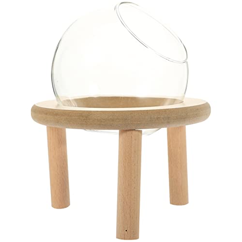 HOUDERCO Transparente Hamsterbadewanne für Hygienische Pflege Sandbad Box für Hamster als Sauna und Waschraum Perfektes für HOUDERCO Transparente Hamsterbadewanne für Hygienische Pflege Sandbad Box für Hamster als Sauna und Waschraum Perfektes für von HOUDERCO