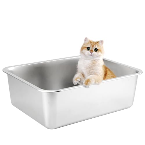 Katzenklo Robuste Katzentoilette Niemals Gerüche, Rostfrei, Antihaft Glatte Oberfläche, Edelstahl Katzenklo Großes Fassungsvermögen für Leichtere Reinigung (Silber, 60 * 40 * 15 cm) von HOUSLUX