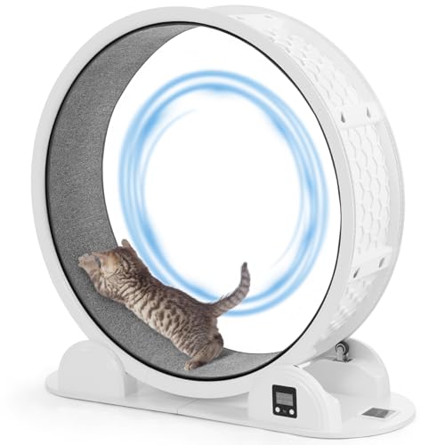 HOVONO Katzen-Trainingsrad mit Schrittzähler, 10 Minuten schnelle und einfache Installation, 104,1 cm großes Katzenrad, Laufband, Laufen, Fitness, Workout-Räder für Indoor-Katzen HOVONO Katzen-Trainingsrad mit Schrittzähler, 10 Minuten schnelle und einfache Installation, 104,1 cm großes Katzenrad, Laufband, Laufen, Fitness, Workout-Räder für Indoor-Katzen von HOVONO