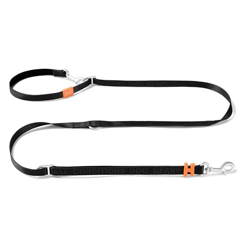 HOWGO 8-in-1 multifunktionale Hundeleine mit gepolstertem Griff, 2,5 m Nylon, verstellbare Länge, leichtes Luftfahrt-Aluminium, Crossbody-Taillenleine für Welpen, mittelgroße und große Hunde HOWGO 8-in-1 multifunktionale Hundeleine mit gepolstertem Griff, 2,5 m Nylon, verstellbare Länge, leichtes Luftfahrt-Aluminium, Crossbody-Taillenleine für Welpen, mittelgroße und große Hunde von HOWGO