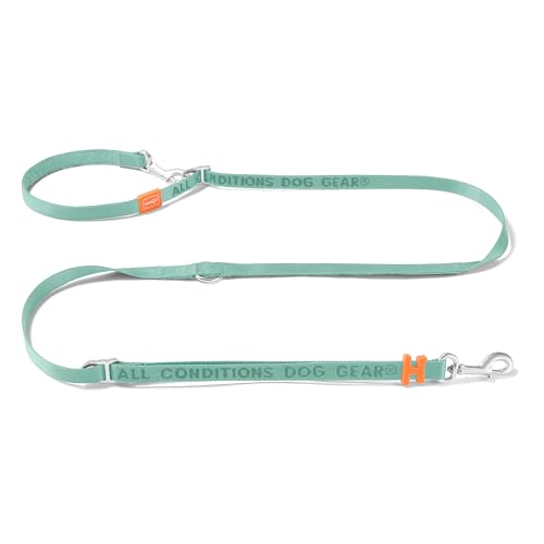 HOWGO 8-in-1 multifunktionale Hundeleine mit gepolstertem Griff, Nylon, verstellbare Länge, leichtes Luftfahrt-Aluminium, Crossbody-Taillenleine für Welpen, mittelgroße und große Hunde, Minzgrün HOWGO 8-in-1 multifunktionale Hundeleine mit gepolstertem Griff, Nylon, verstellbare Länge, leichtes Luftfahrt-Aluminium, Crossbody-Taillenleine für Welpen, mittelgroße und große Hunde, Minzgrün von HOWGO