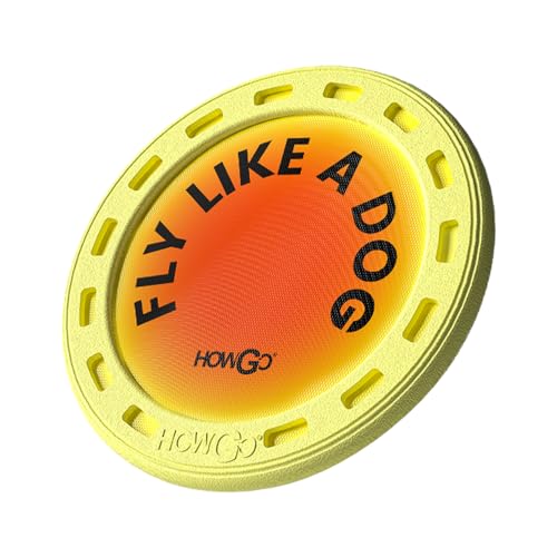 HOWGO Flyer Hundespielzeug, Fliegenscheibe für Hunde, ideal für den Flug, leicht, langlebig und wasserabweisend, 24 cm (Orange) von HOWGO