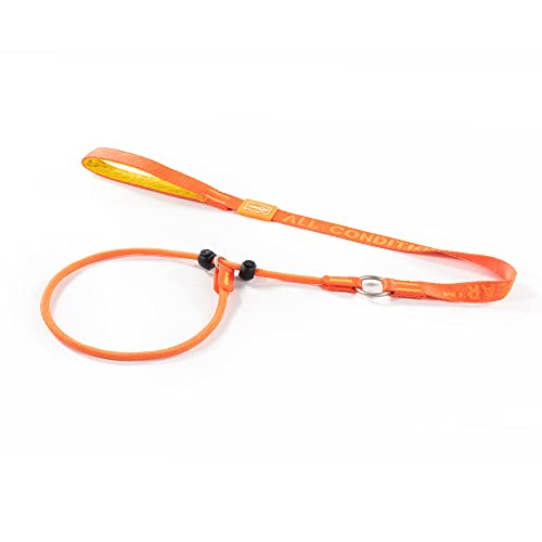 HOWGO Hundeleine, Trainingsleine, Cinch Leash, kein Ziehen, rutschfeste Leine und Halsband, robust und langlebig, gepolsterter Griff, für alle Rassen HOWGO Hundeleine, Trainingsleine, Cinch Leash, kein Ziehen, rutschfeste Leine und Halsband, robust und langlebig, gepolsterter Griff, für alle Rassen von HOWGO