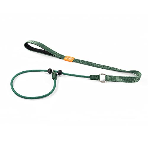 Howgo Hundeleine mit Schlupfleine, Trainingsleine, Anti-Zug-Leine und Halsband, strapazierfähiges und langlebiges Nylon, gepolsterter Griff, für alle Rassen(Grün,1.0 M) Howgo Hundeleine mit Schlupfleine, Trainingsleine, Anti-Zug-Leine und Halsband, strapazierfähiges und langlebiges Nylon, gepolsterter Griff, für alle Rassen(Grün,1.0 M) von HOWGO