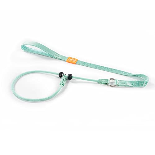 Howgo Hundeleine mit Schlupfleine, Trainingsleine, Anti-Zug-Leine und Halsband, strapazierfähiges und langlebiges Nylon, gepolsterter Griff, für alle Rassen(Mintgrün,1.0 M) Howgo Hundeleine mit Schlupfleine, Trainingsleine, Anti-Zug-Leine und Halsband, strapazierfähiges und langlebiges Nylon, gepolsterter Griff, für alle Rassen(Mintgrün,1.0 M) von HOWGO