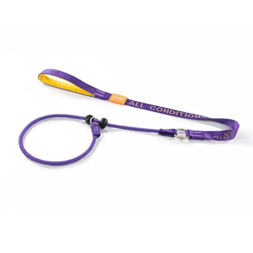HOWGO Hundeleine, Trainingsleine, Cinch Leash, kein Ziehen, rutschfeste Leine und Halsband, robust und langlebig, gepolsterter Griff, für alle Rassen HOWGO Hundeleine, Trainingsleine, Cinch Leash, kein Ziehen, rutschfeste Leine und Halsband, robust und langlebig, gepolsterter Griff, für alle Rassen von HOWGO