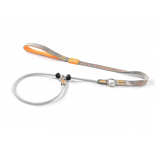 Howgo Hundeleine mit Schlupfleine, Trainingsleine, Anti-Zug-Leine und Halsband, strapazierfähiges und langlebiges Nylon, gepolsterter Griff, für alle Rassen(Grau,1.0 M) Howgo Hundeleine mit Schlupfleine, Trainingsleine, Anti-Zug-Leine und Halsband, strapazierfähiges und langlebiges Nylon, gepolsterter Griff, für alle Rassen(Grau,1.0 M) von HOWGO