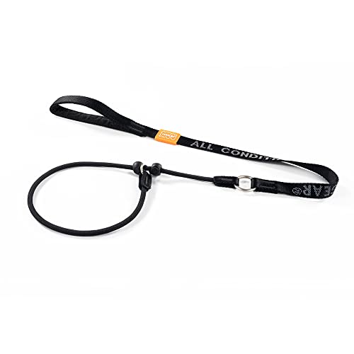 HOWGO Hundeleine, Trainingsleine, Cinch Leash, kein Ziehen, rutschfeste Leine und Halsband, robust und langlebig, gepolsterter Griff, für alle Rassen HOWGO Hundeleine, Trainingsleine, Cinch Leash, kein Ziehen, rutschfeste Leine und Halsband, robust und langlebig, gepolsterter Griff, für alle Rassen von HOWGO