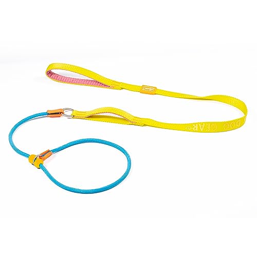 Howgo Hundeleine mit Schlupfleine, Trainingsleine, Anti-Zug-Leine und Halsband, strapazierfähiges und langlebiges Nylon, gepolsterter Griff, für alle Rassen(Mehrfarbig,1.5 M) von HOWGO