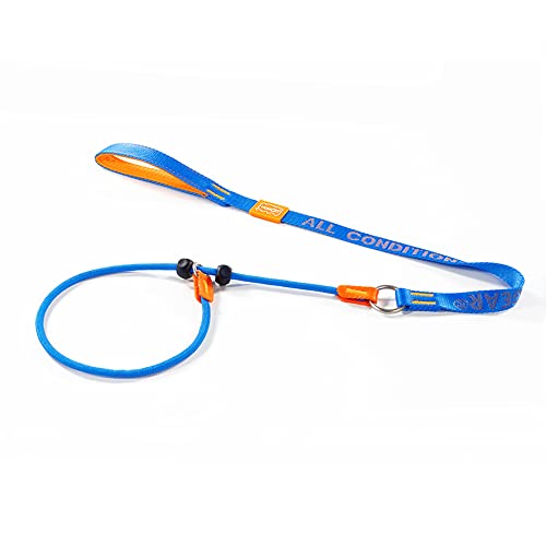 HOWGO Hundeleine, Trainingsleine, Zugleine, rutschhemmende Leine und Halsband, robust und langlebig, gepolsterter Griff, für alle Rassen (blau, 100 cm) von HOWGO