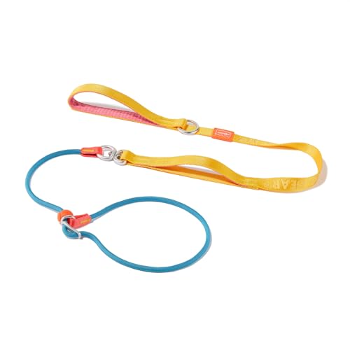 Howgo Schlupfleine für Hunde mit Doppelgriffen, 360° drehbar, verwicklungsfrei, robuste Leine und Halsband für alle Rassen, zum Spazierengehen ohne Ziehen(Mehrfarbig,1.6 M) von HOWGO