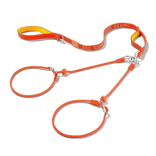 Howgo Doppelte Schlupfleine mit Doppelgriffen, Doppelleine für 2 Hunde, 360° drehbar, kein Verheddern, reflektierende Trainingsleine und Halsband für große, mittelgroße und kleine Hunde von HOWGO