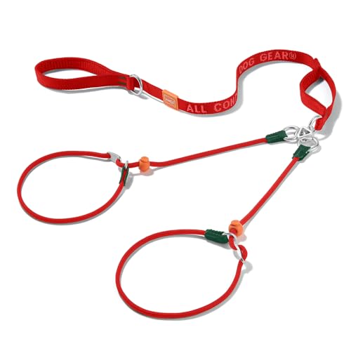 Howgo Doppelte Schlupfleine mit Doppelgriffen, Doppelleine für 2 Hunde, 360° drehbar, kein Verheddern, reflektierende Trainingsleine und Halsband für große, mittelgroße und kleine Hunde von HOWGO
