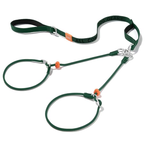 Howgo Doppelte Schlupfleine mit Doppelgriffen, Doppelleine für 2 Hunde, 360° drehbar, kein Verheddern, reflektierende Trainingsleine und Halsband für große, mittelgroße und kleine Hunde von HOWGO