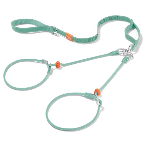 Howgo Doppelte Schlupfleine mit Doppelgriffen, Doppelleine für 2 Hunde, 360° drehbar, kein Verheddern, reflektierende Trainingsleine und Halsband für große, mittelgroße und kleine Hunde von HOWGO