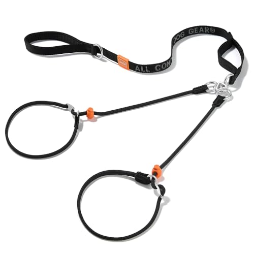 Howgo Doppelte Schlupfleine mit Doppelgriffen, Doppelleine für 2 Hunde, 360° drehbar, kein Verheddern, reflektierende Trainingsleine und Halsband für große, mittelgroße und kleine Hunde von HOWGO