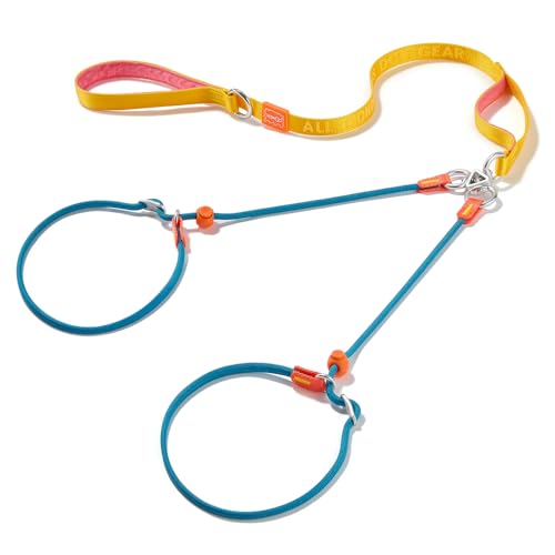 Howgo Doppelte Schlupfleine mit Doppelgriffen, Doppelleine für 2 Hunde, 360° drehbar, kein Verheddern, reflektierende Trainingsleine und Halsband für große, mittelgroße und kleine Hunde von HOWGO