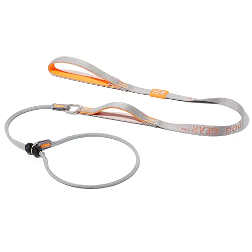 Howgo Hundeleine mit Schlupfleine, Trainingsleine, Anti-Zug-Leine und Halsband, strapazierfähiges und langlebiges Nylon, gepolsterter Griff, für alle Rassen(Grau,1.5 M) von HOWGO