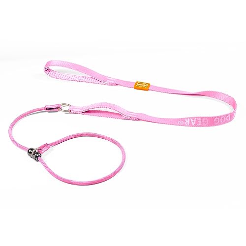 Howgo Hundeleine mit Schlupfleine, Trainingsleine, Anti-Zug-Leine und Halsband, strapazierfähiges und langlebiges Nylon, gepolsterter Griff, für alle Rassen(Rosa,1.5 M) von HOWGO