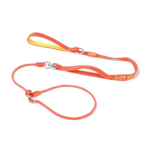 Howgo Schlupfleine für Hunde mit Doppelgriffen, 360° drehbar, verwicklungsfrei, robuste Leine und Halsband für alle Rassen, zum Spazierengehen ohne Ziehen(Orange,1.6 M) von HOWGO