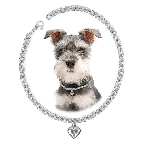 HOWWFALY Hundehalsband und Hundekette, Edelstahl, verstellbar, 18 Karat, silberfarben, herzförmige Halskette für kleine Haustiere, Katzen, Kätzchen, Welpen (Silber, 30,5 cm) von HOWWFALY