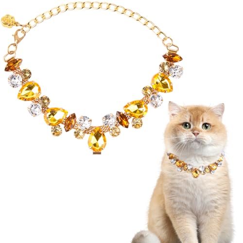 HOWWFALY Hundehalsband und Katzenhalsband, Goldkette, Edelstahl, verstellbar, gelbe Diamanten, Halsband mit niedlicher Haustierpfote für kleine, mittelgroße Haustiere, Katzen, Hunde, Kätzchen, Welpen HOWWFALY Hundehalsband und Katzenhalsband, Goldkette, Edelstahl, verstellbar, gelbe Diamanten, Halsband mit niedlicher Haustierpfote für kleine, mittelgroße Haustiere, Katzen, Hunde, Kätzchen, Welpen von HOWWFALY