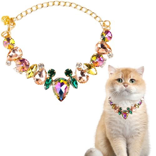 HOWWFALY Hundehalsband und Katzenhalsband, Goldkette, Edelstahl, verstellbar, gelbe Diamanten, Halsband mit niedlicher Haustierpfote für kleine, mittelgroße Haustiere, Katzen, Hunde, Kätzchen, Welpen HOWWFALY Hundehalsband und Katzenhalsband, Goldkette, Edelstahl, verstellbar, gelbe Diamanten, Halsband mit niedlicher Haustierpfote für kleine, mittelgroße Haustiere, Katzen, Hunde, Kätzchen, Welpen von HOWWFALY