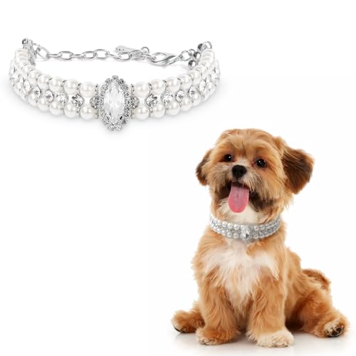 HOWWFALY Hundehalsband und Katzenhalsband, silberfarbene Kette, Edelstahl, verstellbar, Haustier-Diamant-Halsband mit niedlichem kleinen Knochen-Zubehör für kleine, mittelgroße Haustiere, Katzen HOWWFALY Hundehalsband und Katzenhalsband, silberfarbene Kette, Edelstahl, verstellbar, Haustier-Diamant-Halsband mit niedlichem kleinen Knochen-Zubehör für kleine, mittelgroße Haustiere, Katzen von HOWWFALY