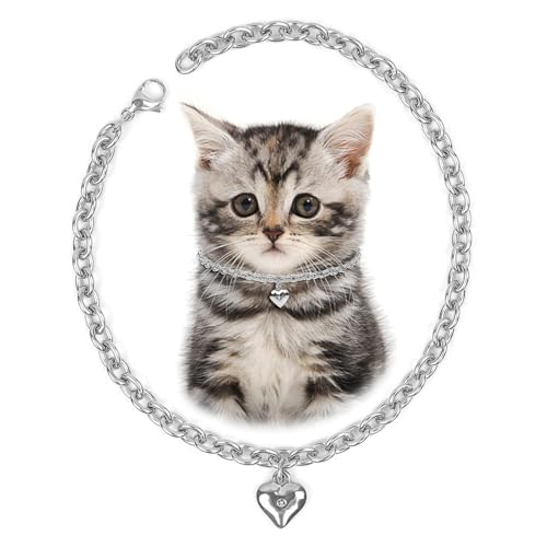 HOWWFALY Hundehalsband und Katzenkette, Edelstahl, verstellbar, 18 Karat, silberfarben, herzförmige Halskette für kleine Haustiere, Katzen, Kätzchen, Welpen (Silber, 17,8 cm) von HOWWFALY