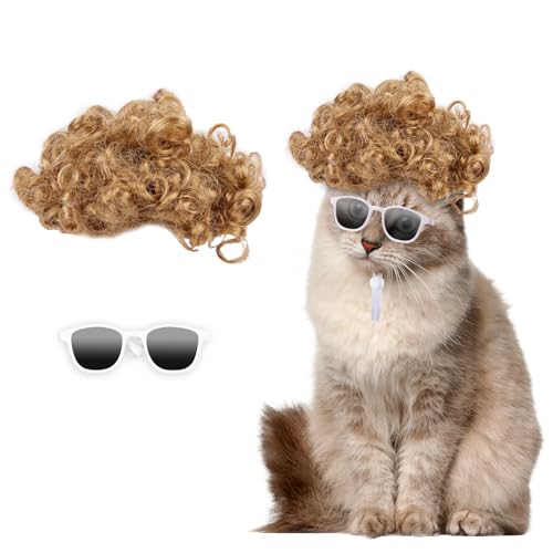 HOWWFALY Katzenbekleidung, goldfarbene Afro-Perücke mit weißen kleinen Brillen, niedlich, lustiges Tierhaar-Accessoire, Dekoration für Halloween, Weihnachten, Partys von HOWWFALY